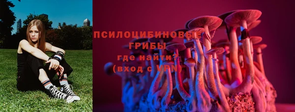 кокаин Белокуриха