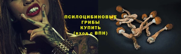 кокаин Белокуриха