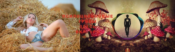 соль курить ск Белоозёрский